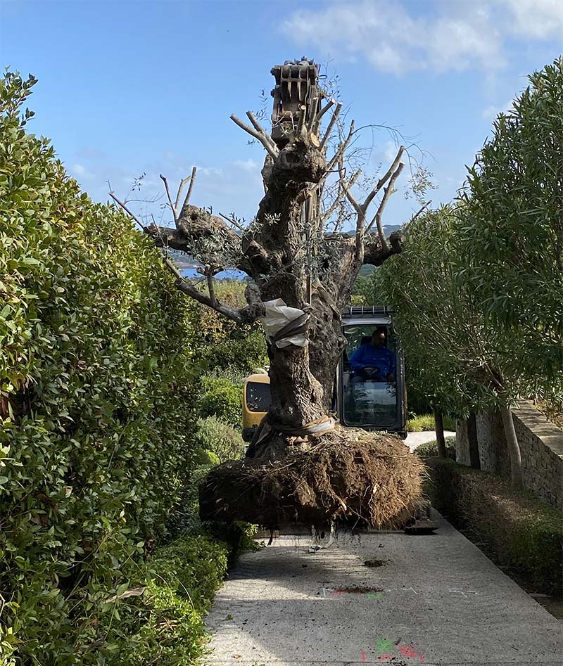 Crédit d'impôt pour les services de paysagiste au Revest-Les-Eaux