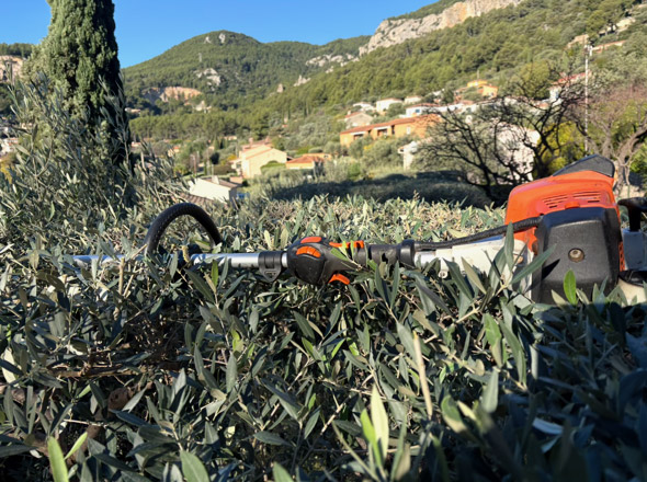 Entretien parcs et jardins dans le Var